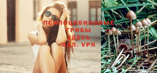 ALPHA-PVP Верхний Тагил