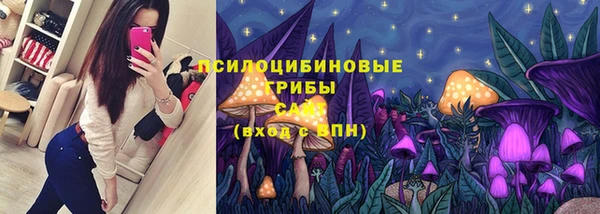 СК Верея