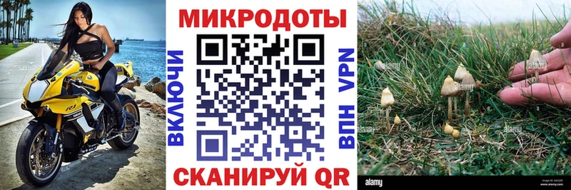 Галлюциногенные грибы мухоморы  Купить  Арск 